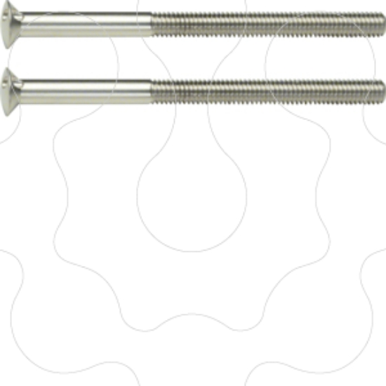 Imagem de TS - parafusos M3,5 x 50mm (par), inox