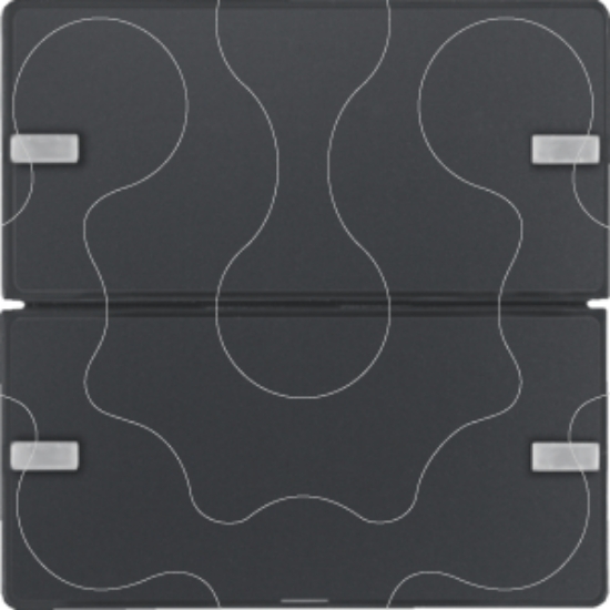 Imagem de BP KNX Q.x 2 teclas Easy p-etiq, antr