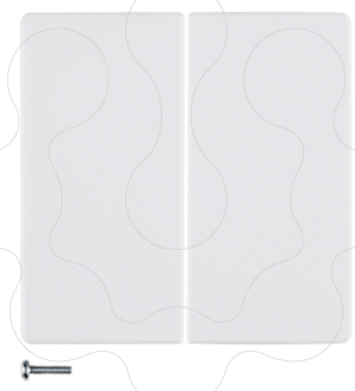 Imagem de Q.x - tecla dupla KNX RF, branco