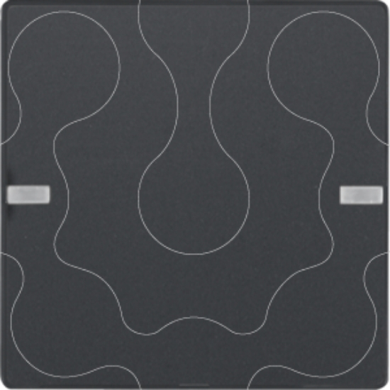 Imagem de BP KNX Q.x 1 tecla Easy p-etiq, antr
