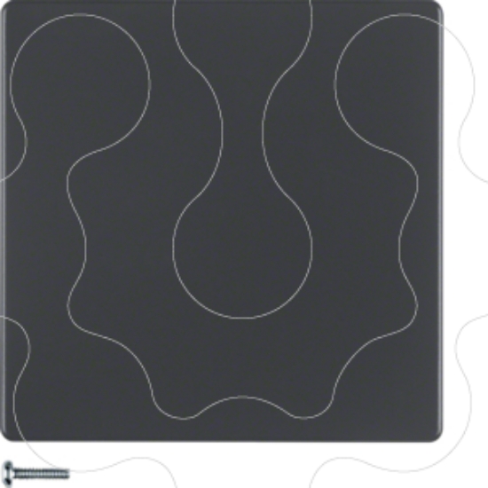 Imagem de Q.x - tecla simples KNX RF, antr