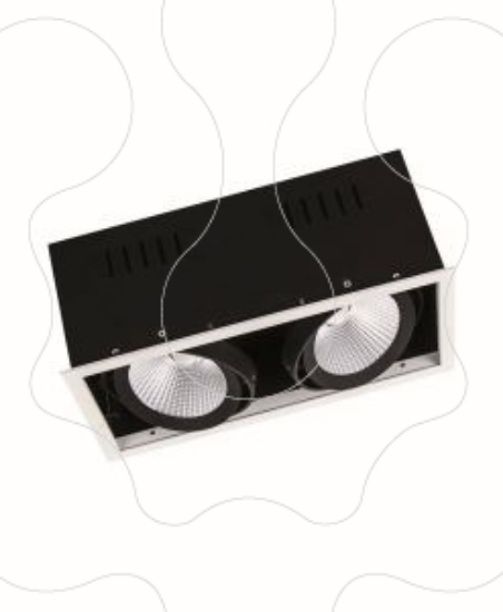 Imagem de SP MULTI 2 x 30W 3000K FL WT BK