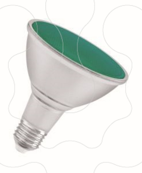 Imagem de PARATHOM  PAR38    Non-dim GREEN 13W - E27