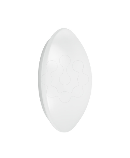 Imagem de SURFACE CIRCULAR 250 SENSOR 13 W 4000 K IP44 WT
