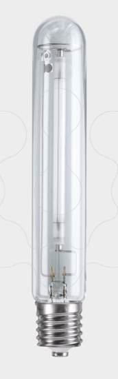 Imagem de PLANTASTAR INTER 250W E40
