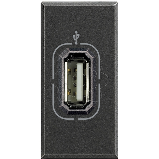 Imagem de AXOLUTE-TOMADA USB 1MD ANTRACI