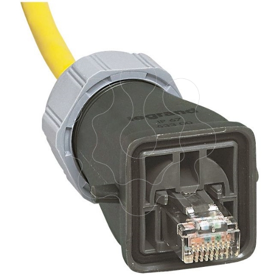 Imagem de PROTECAO RJ 45