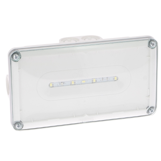 Imagem de BAES AMB LEDS ECO2 IP66 ADR