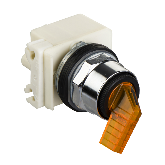Imagem de SEL LUM AMB 2POS FIX 24V NA/NF