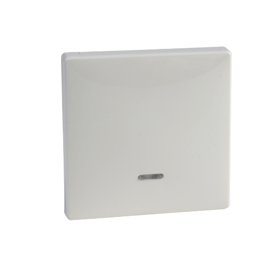Imagem de TECLA SIMPLES C/VISOR SD BRC TP