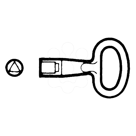 Imagem de CHAVE TRIANGULAR 6,5-8MM P/ ARM CRN