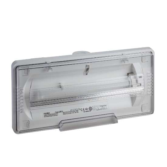 Imagem de EXIWAY F ONE STD IP65 11W 1h 500Lm NP
