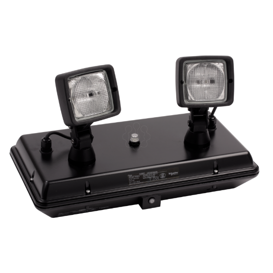 Imagem de GUARDIAN DARDO PLUS IP42 1H 1500LM NP