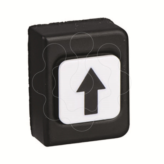 Imagem de BOTON PENDENTE