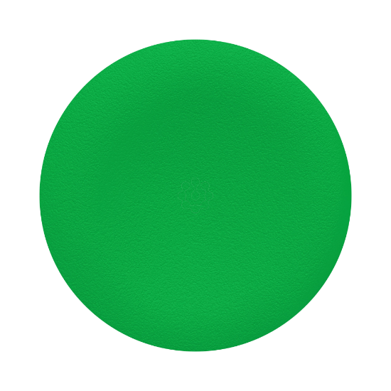 Imagem de CAPS VERDE