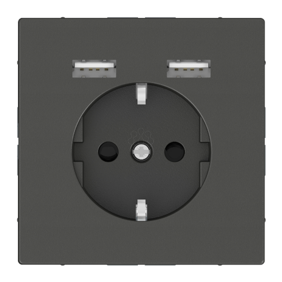 Imagem de Schuko + 2 cargador USB 2,4A D-Life Alum