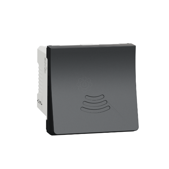 Imagem de Besouro 250V 2 mod. Antracite NU