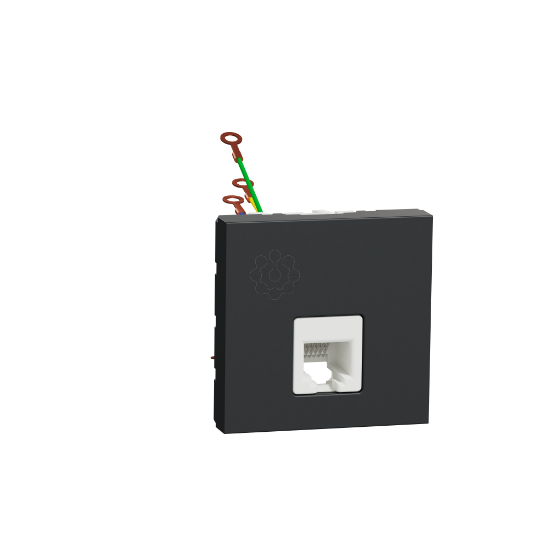 Imagem de Tom telefone RJ12 2 mod. Antracite NU