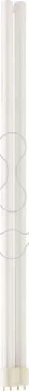 Imagem de MASTER PL-L 40W/830/4P 1CT/25