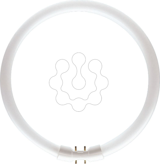 Imagem de MASTER TL5 Circular 60W/840 1CT/10