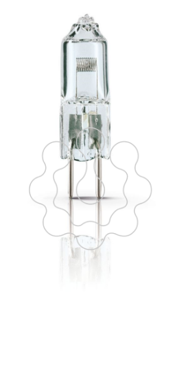 Imagem de 14530 300W GY6.35 24V 1CT/24