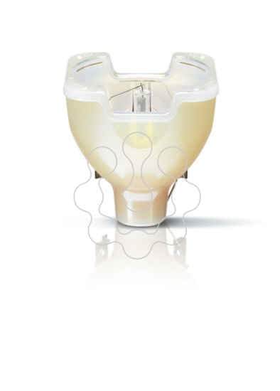 Imagem de MSD Platinum 15 R 1CT/8
