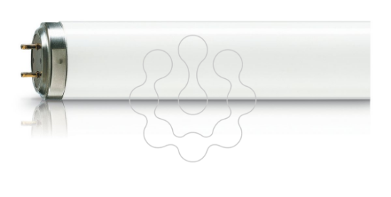Imagem de Actinic BL TL-K 40W/10-R