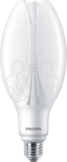 Imagem de TForce Core LED PT 50-42W E27 830 FR