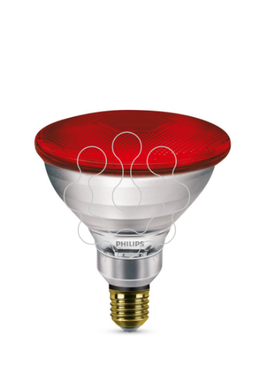 Imagem de PAR38 IR 100W E27 240V Red 1CT/12
