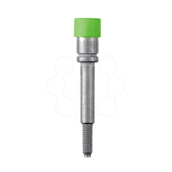 Imagem de CLAVIJA STB 35 VERDE