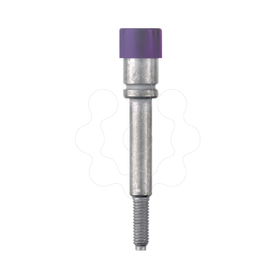 Imagem de CLAVIJA STB 30.5 IH/VI VIOLETA