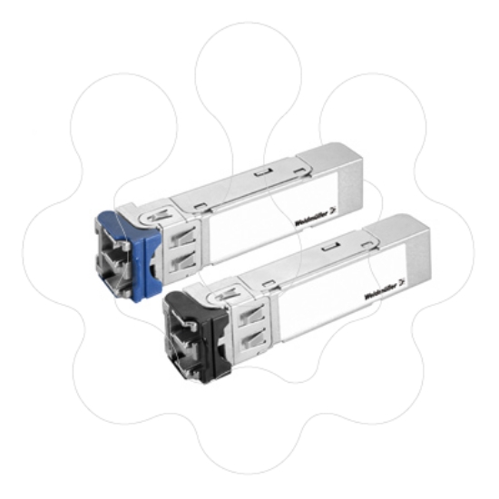 Imagem de IE-SFP-1FEMLC-T