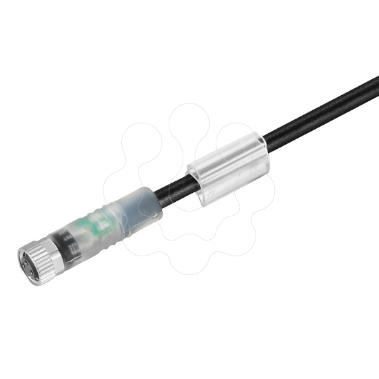 Imagem de SAIL-M8BG-3L5.0U