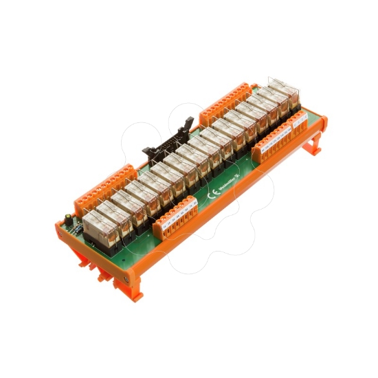 Imagem de RSM-16 24VDC 1NO + C S