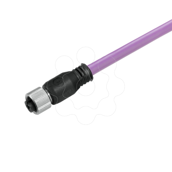 Imagem de SAIL-M12BG-PB-10D