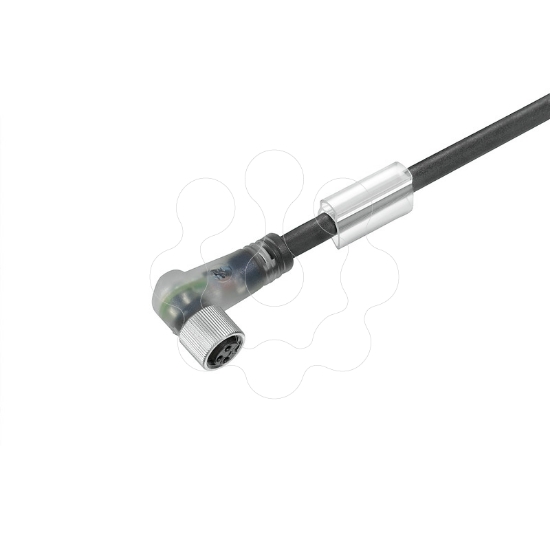 Imagem de SAIL-M8BW-3L5.0V
