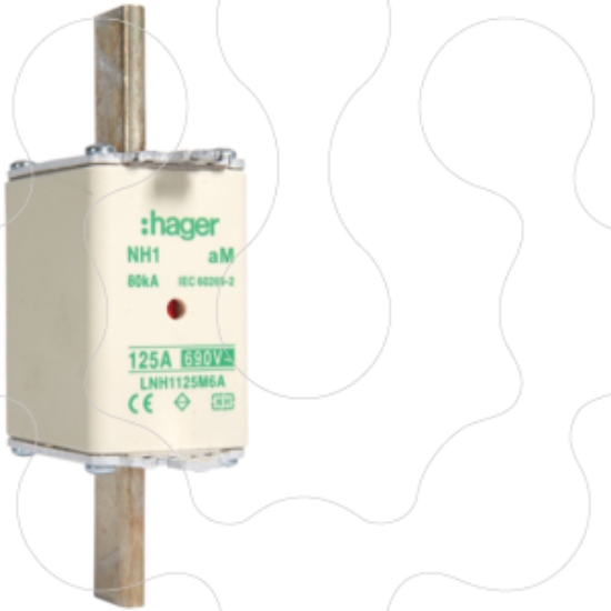 Imagem de Fusivel de facas NH1 aM 125A 690V