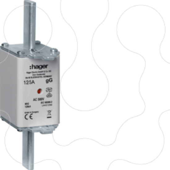 Imagem de Fusivel de facas NH2C gG 125A 500V