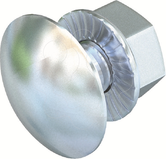 Imagem de Parafuso de cabeca boleada com porca combinada M6x30 St F