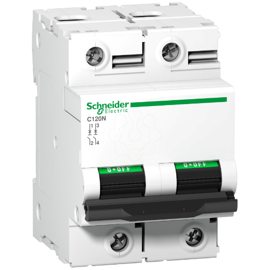 Imagem de C120N - circuit breaker - 2P - 80A - C curve