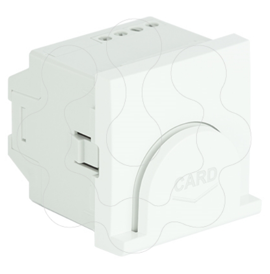 Imagem de INTERRUPTOR CARD SYSTEM TEMPORIZADO -2 MÓD BR