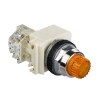 Imagem de Botao de pressao iluminado amarelo o 30 – mola – 24 v – 1 oc