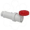 Imagem de PratiKa wander socket - straight - 63 A - 3P + N + E - 380...415 V AC - IP67