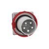 Imagem de PratiKa plug - straight - 125A - 3P + N + E - 380...415 V AC - IP67 - panel