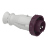 Imagem de PratiKa wander plug - straight - 16 A - 2P - 20...25 V AC - IP67