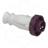 Imagem de PratiKa wander plug - straight - 16 A - 2P - 20...25 V AC - IP67