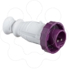 Imagem de PratiKa wander plug - straight - 32 A - 2P - 20...25 V AC - IP67