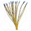 Imagem de SONDA PTC