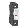 Imagem de PORT FUS 10X38 1P 32A SINAL
