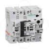 Imagem de Interruptores-seccionadores porta-fusiveis TeSys GS - 3P+neutro 10X38 32A